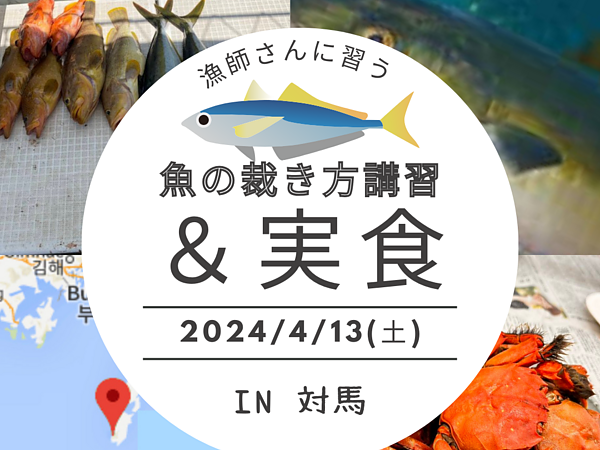 漁師さんに習う『魚裁き方講習』の画像