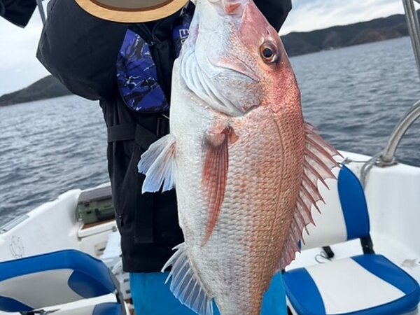 正月休みの画像