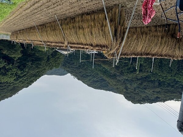 ずっと更新出来て無くて、一気にいきますの画像