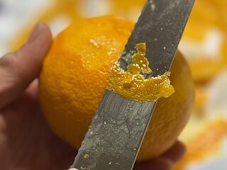 身近な生薬のイメージ