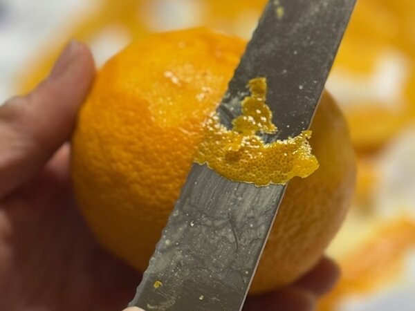 身近な生薬の画像