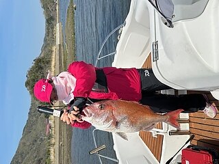 対馬の春？のイメージ