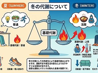 代謝についてのイメージ