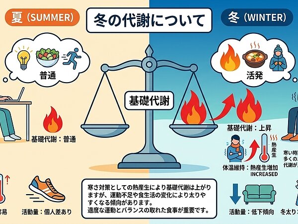 代謝についての画像